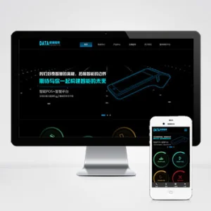 (自适应手机端)刷卡pos机金融数据支付电子科技公司网站