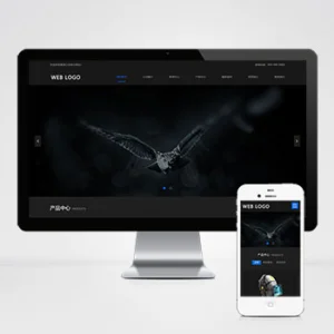 (自适应手机端)响应式高端摄影网站模板 黑色酷炫数码摄