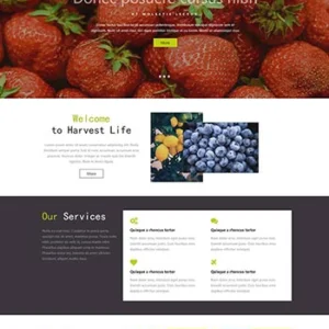 有机蔬菜水果农产品网站html网页模板