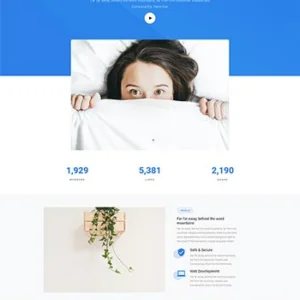 商业项目发展团队响应式网页模板