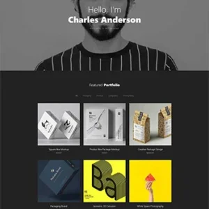 个人设计师作品展示简历网页模板