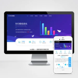 (自适应移动端)seo快排网站模板 大气的IT网络软件公司网