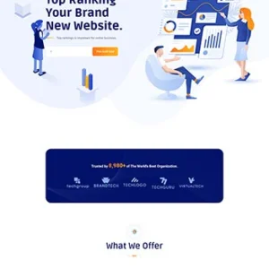 SEO营销咨询服务公司静态网站前端html模板