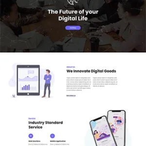 HTML5数字产品服务公司网站前端静态hmtl模板