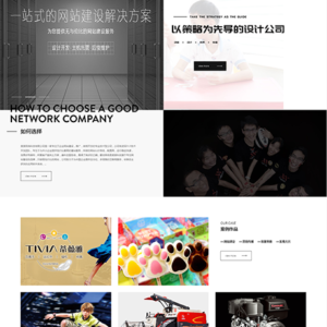 网站建设网络服务网站模板