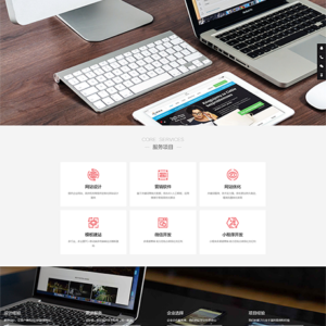 响应式网络设计推广网站模板