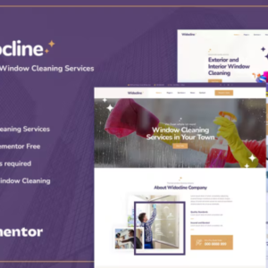 专业窗户清洁服务外贸网站模板