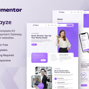 在线支付网关和电子钱包 Elementor 模板工具包
