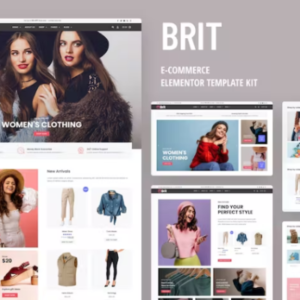 WooCommerce Elementor Pro 外贸网站模板