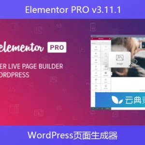 WordPress页面生成器