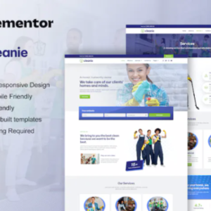 清洁服务公司 Elementor 外贸网站模板