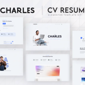 CV Resume Elementor 外贸网站模板