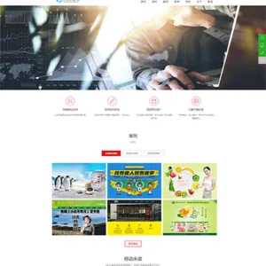 可视化网站网络设计公司网站模板