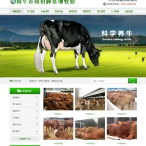 肉牛养殖供应基地网站模板