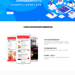 响应式短视频直播带货营销单页网站模板