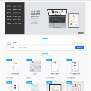 知识产权财务记账网站模板